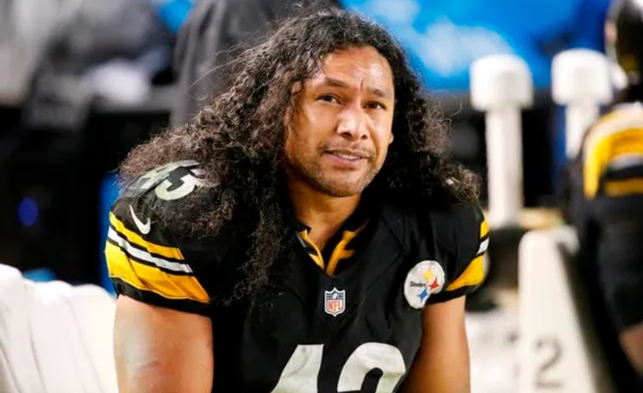 brandon polamalu